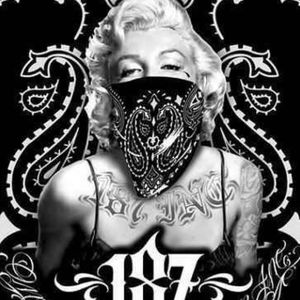 Meet your Posher, Dannette